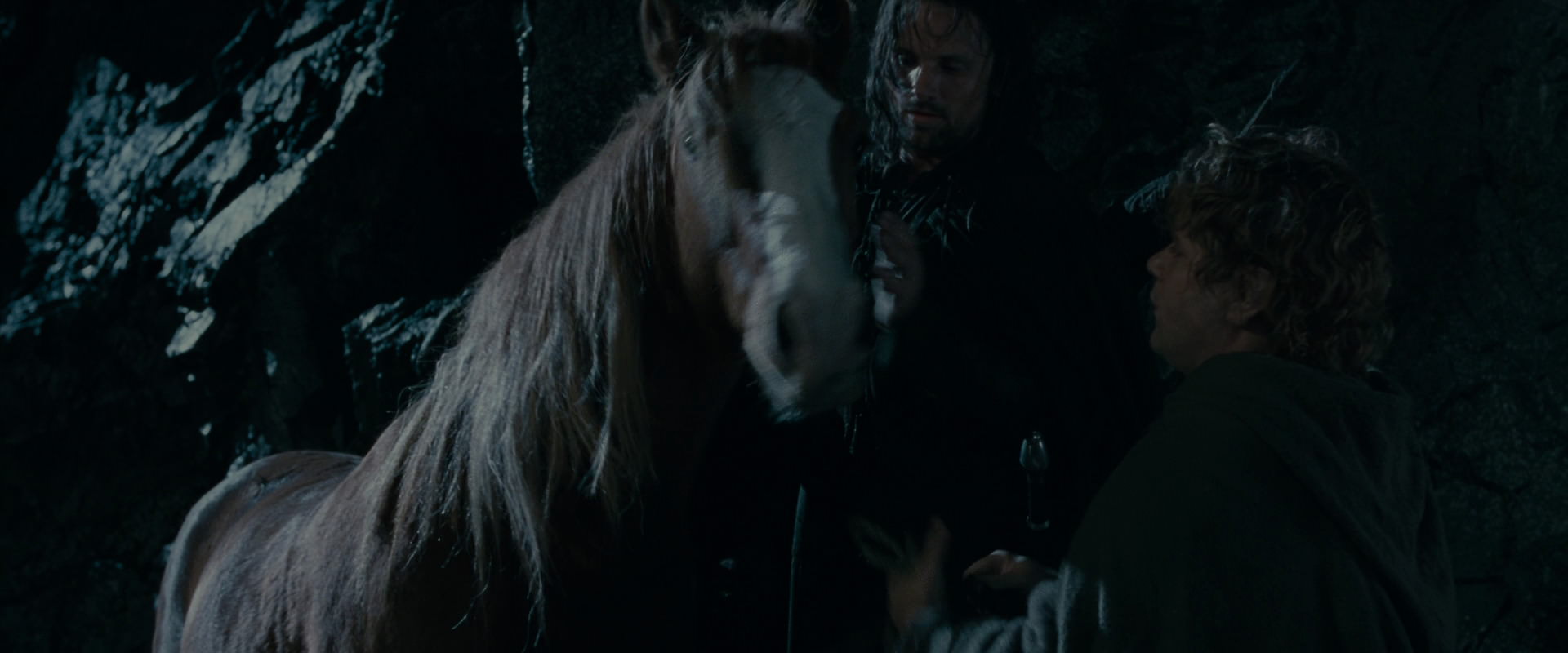 The Lord of the Rings: The Fellowship of the Ring (2001) screencap 14262