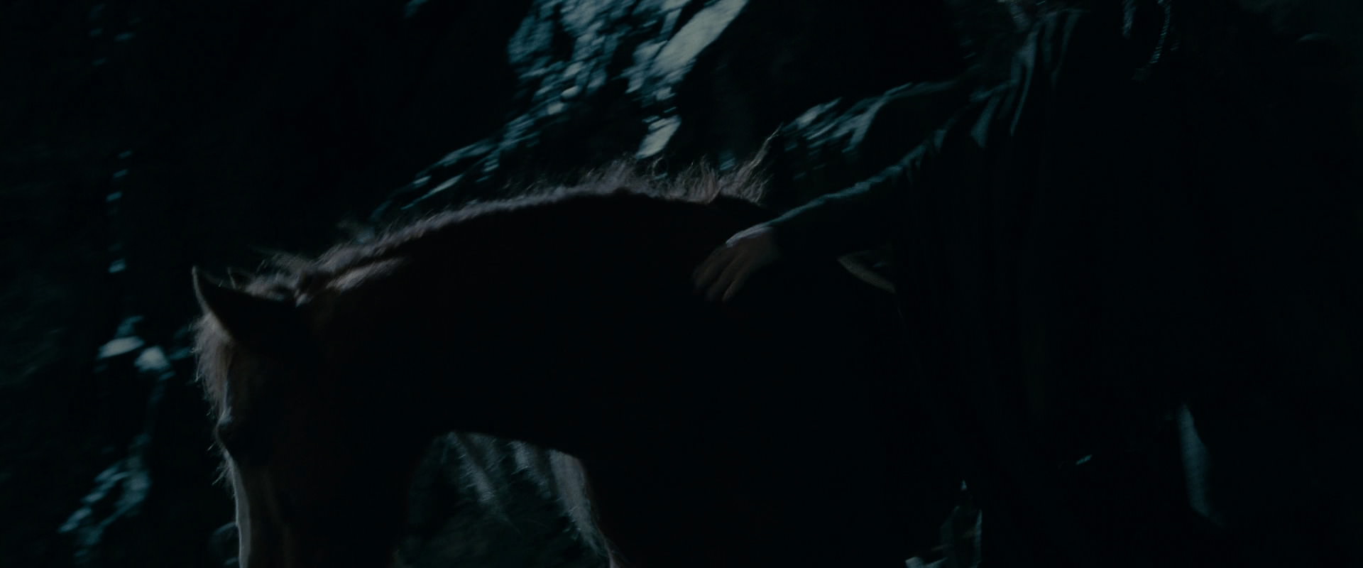 The Lord of the Rings: The Fellowship of the Ring (2001) screencap 14265