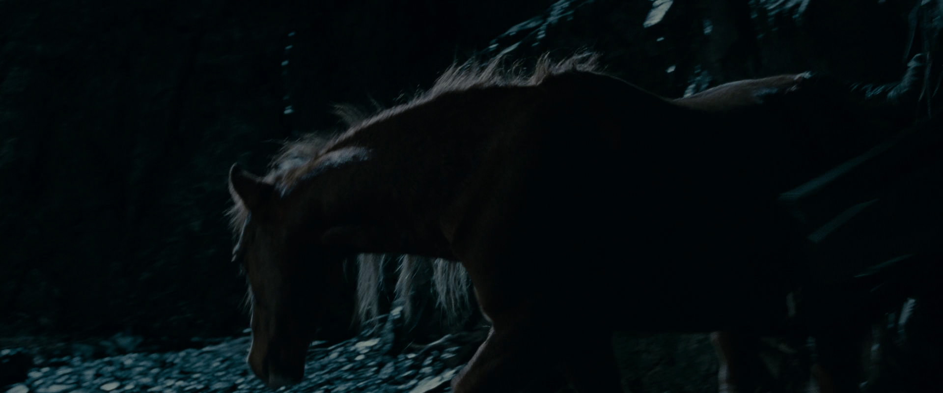 The Lord of the Rings: The Fellowship of the Ring (2001) movie still 14266