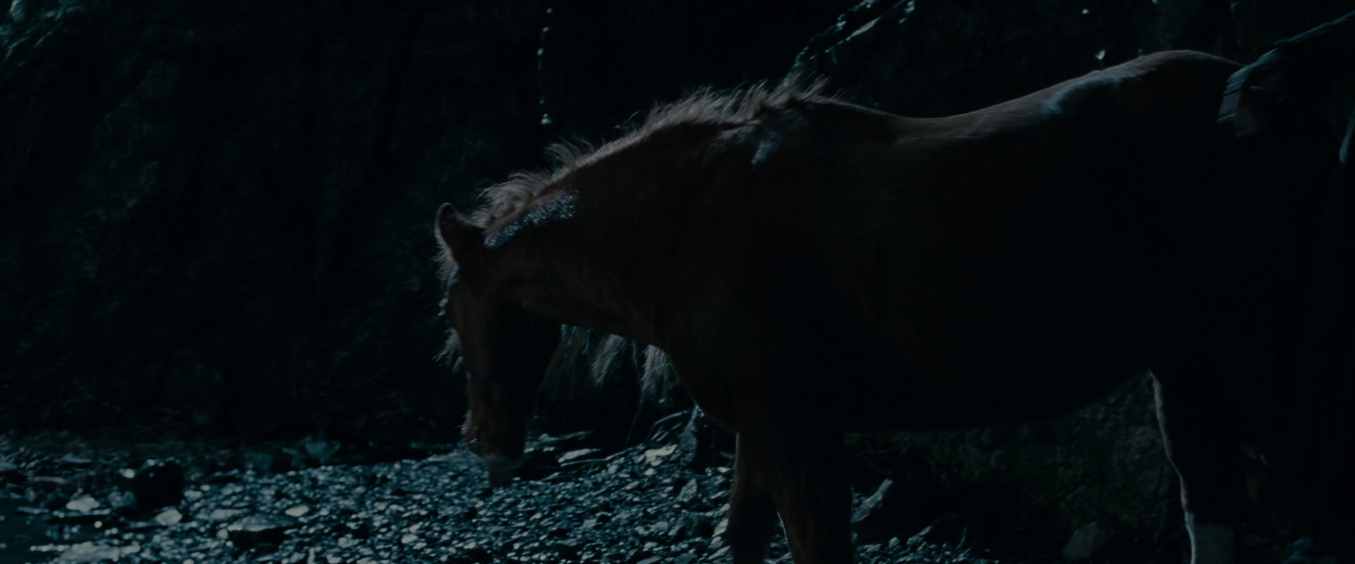 The Lord of the Rings: The Fellowship of the Ring (2001) HD screenshot 14267