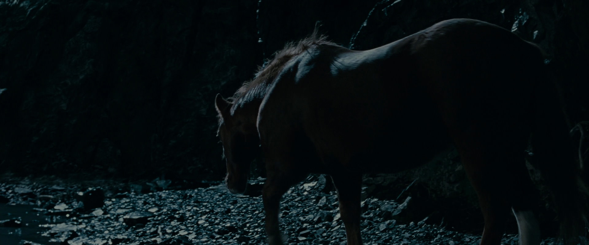 The Lord of the Rings: The Fellowship of the Ring (2001) screencap 14268