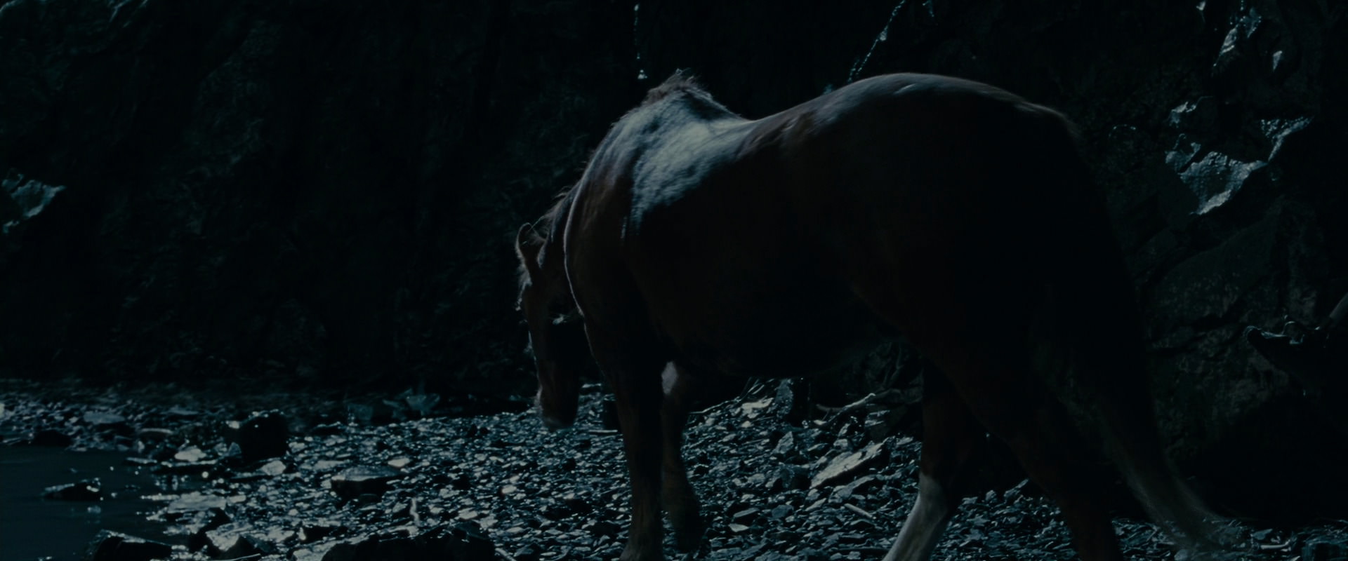 The Lord of the Rings: The Fellowship of the Ring (2001) movie still 14269