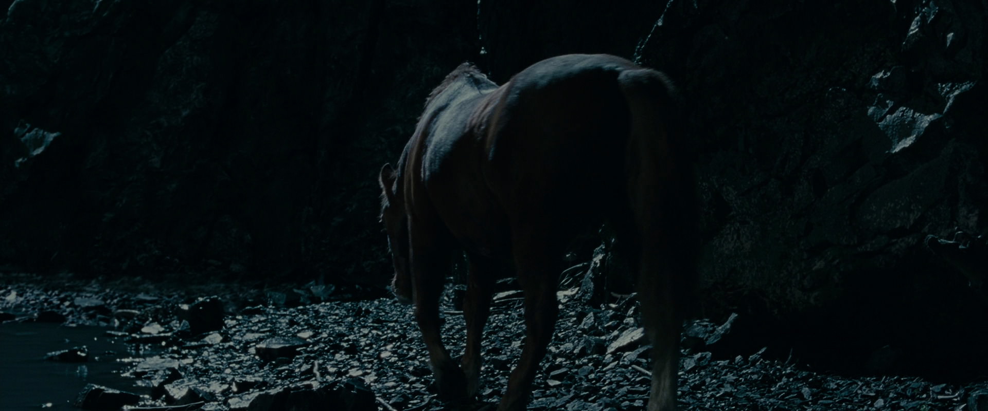 The Lord of the Rings: The Fellowship of the Ring (2001) HD screenshot 14270