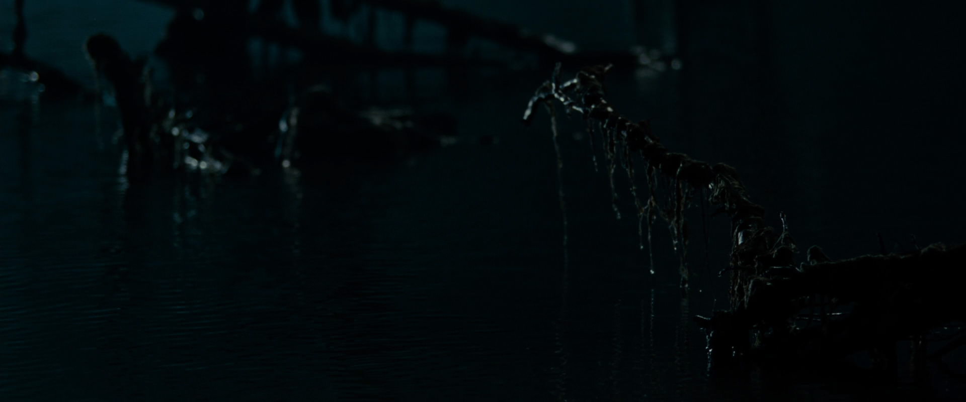 The Lord of the Rings: The Fellowship of the Ring (2001) HD screenshot 14276