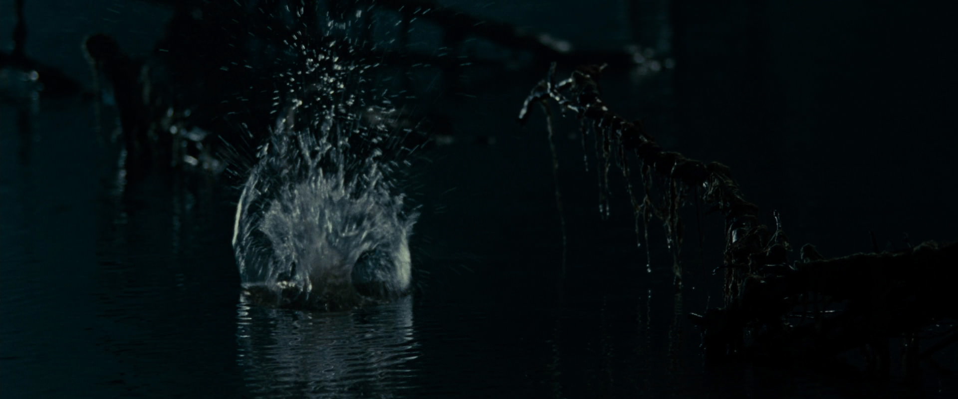 The Lord of the Rings: The Fellowship of the Ring (2001) screencap 14277