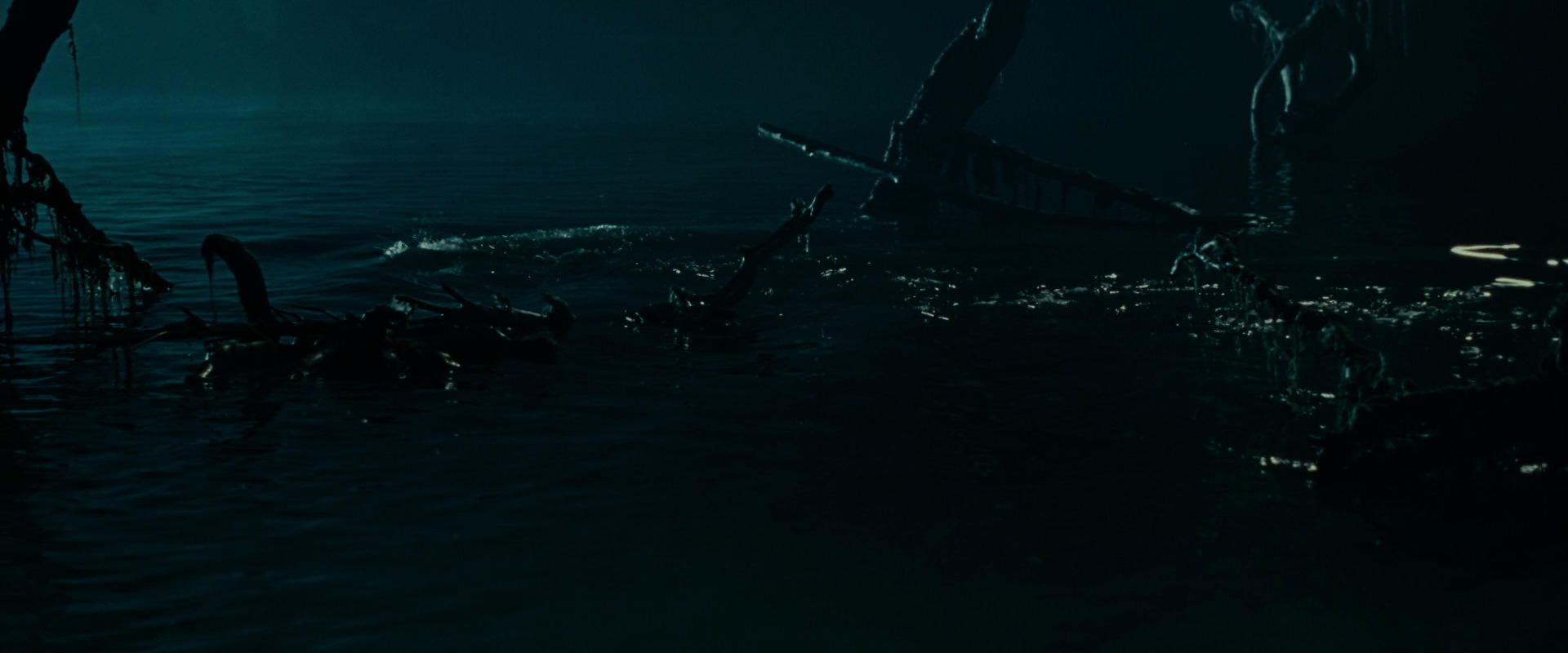 The Lord of the Rings: The Fellowship of the Ring (2001) screencap 14307