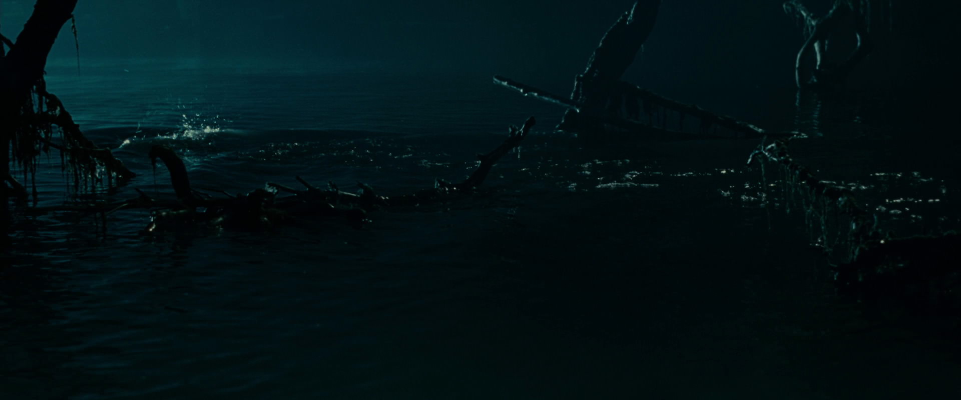 The Lord of the Rings: The Fellowship of the Ring (2001) HD screenshot 14309