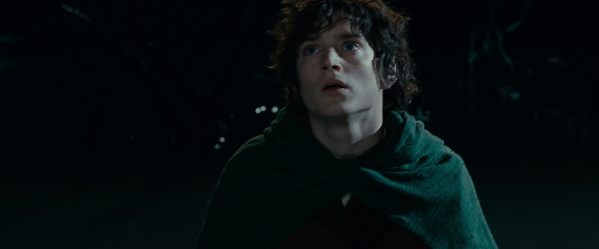 The Lord of the Rings: The Fellowship of the Ring (2001) movie still 14323