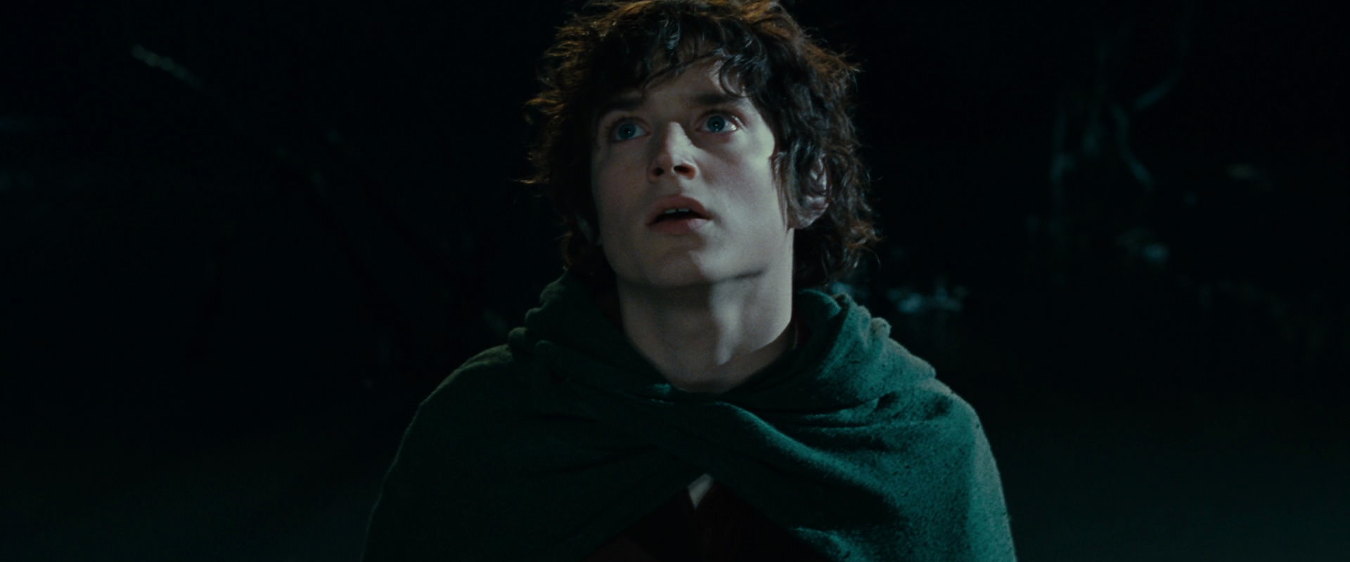 The Lord of the Rings: The Fellowship of the Ring (2001) HD screenshot 14324