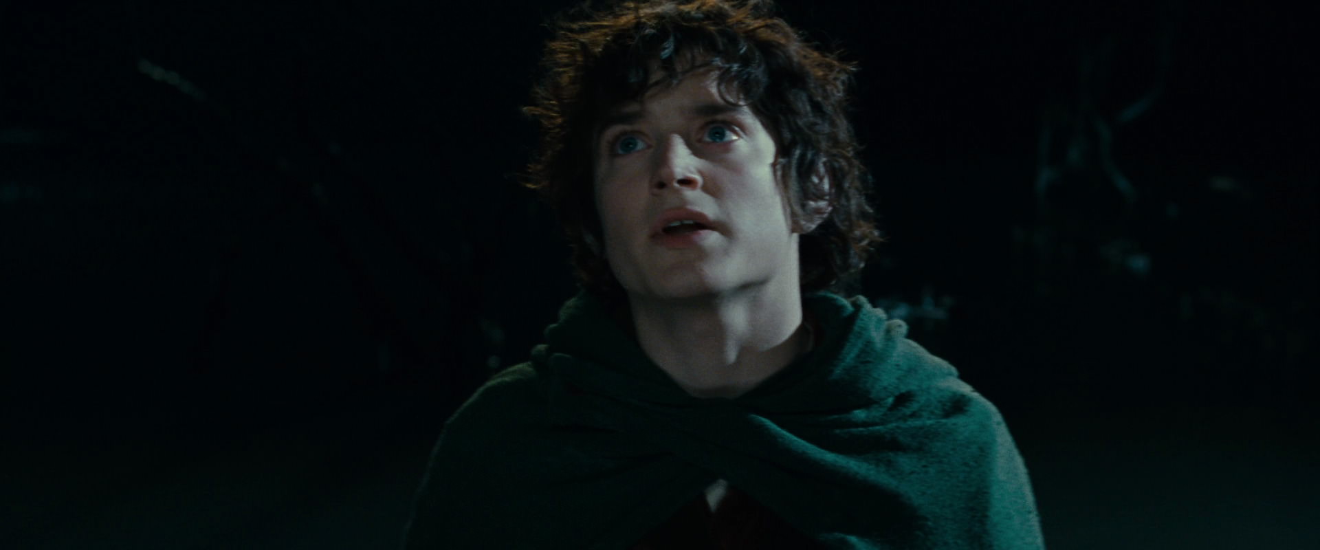 The Lord of the Rings: The Fellowship of the Ring (2001) screencap 14325