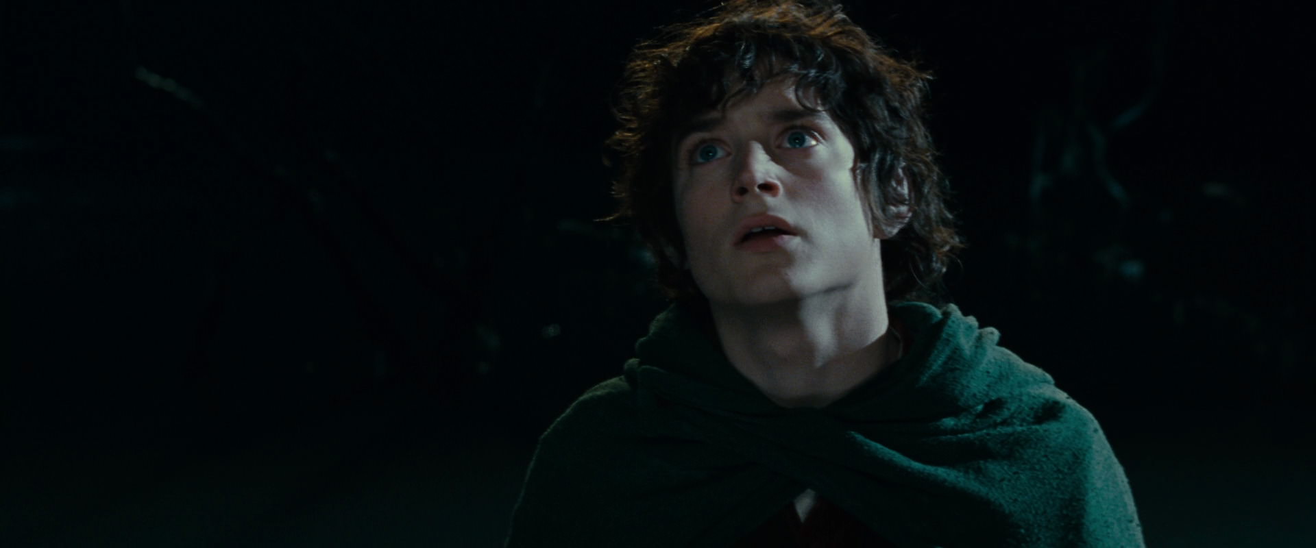 The Lord of the Rings: The Fellowship of the Ring (2001) movie still 14326