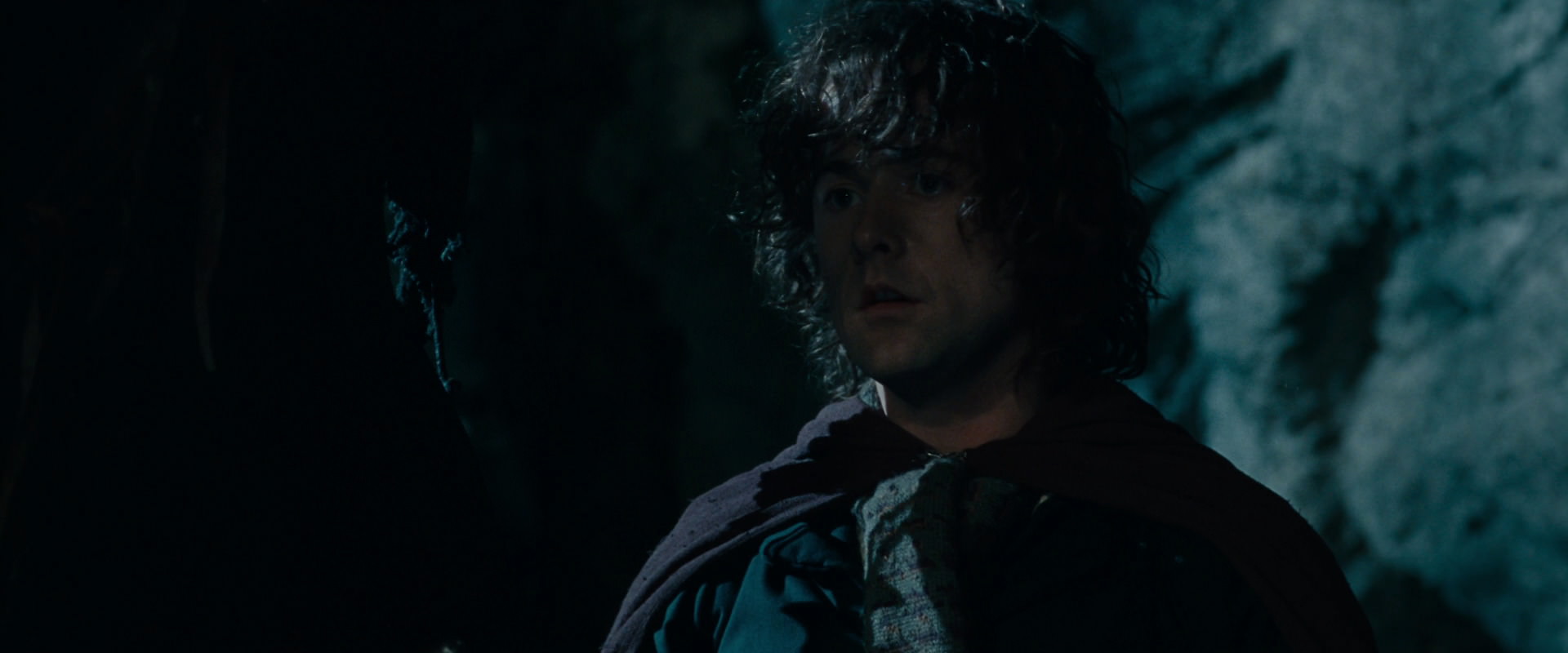 The Lord of the Rings: The Fellowship of the Ring (2001) HD screenshot 14333