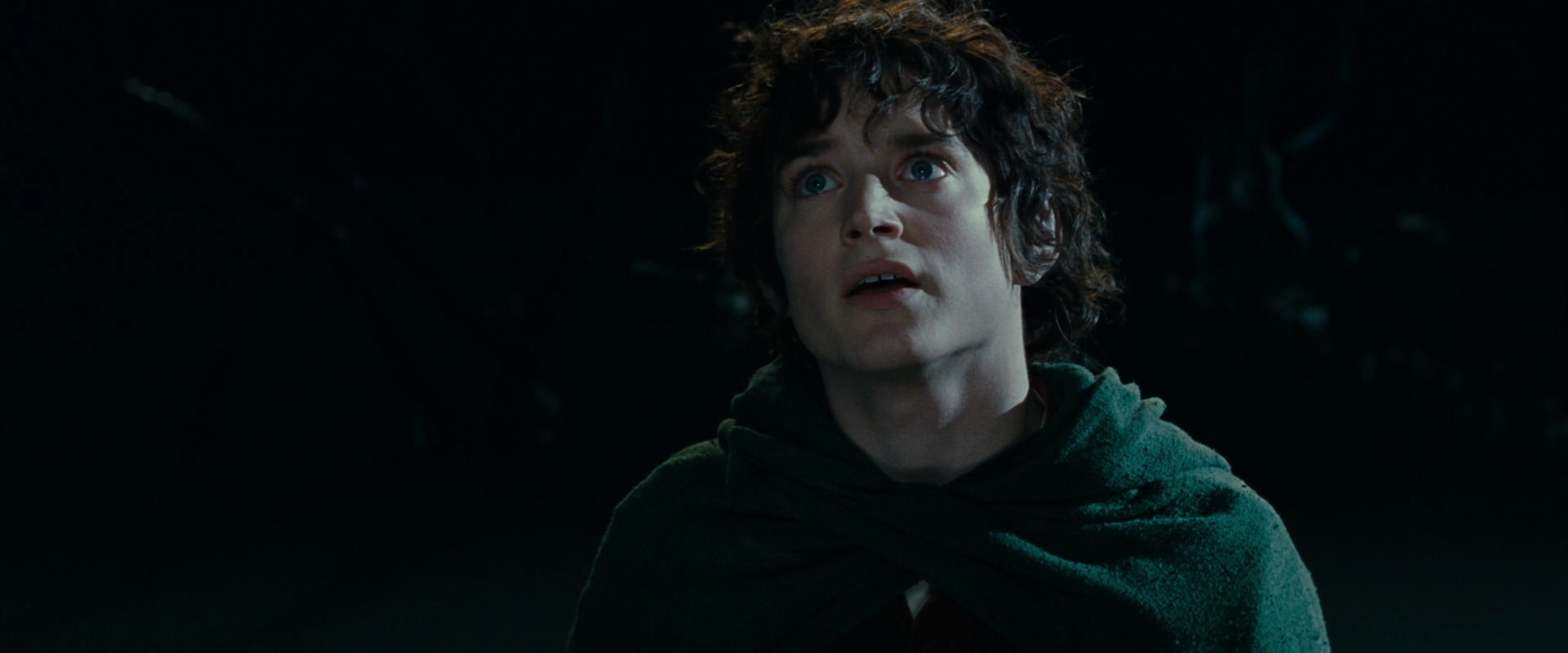 The Lord of the Rings: The Fellowship of the Ring (2001) screencap 14337