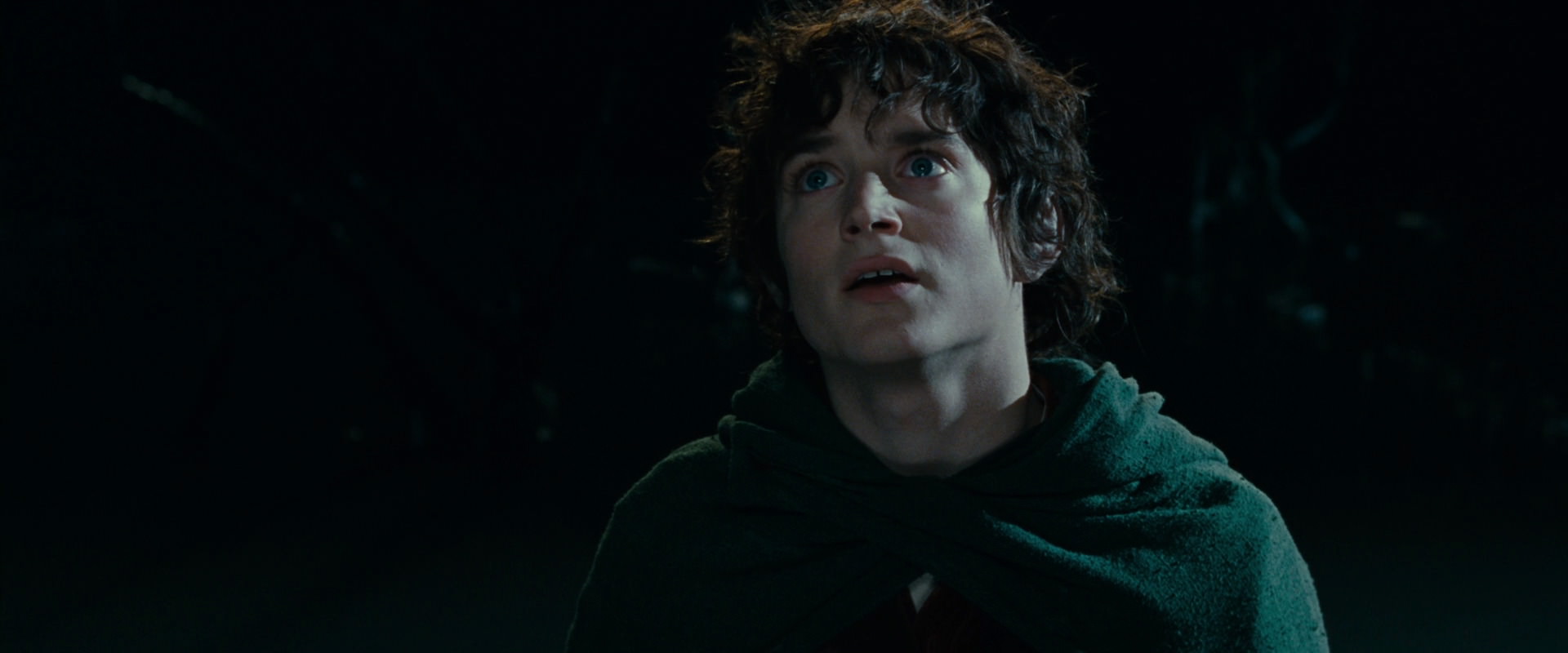 The Lord of the Rings: The Fellowship of the Ring (2001) movie still 14338