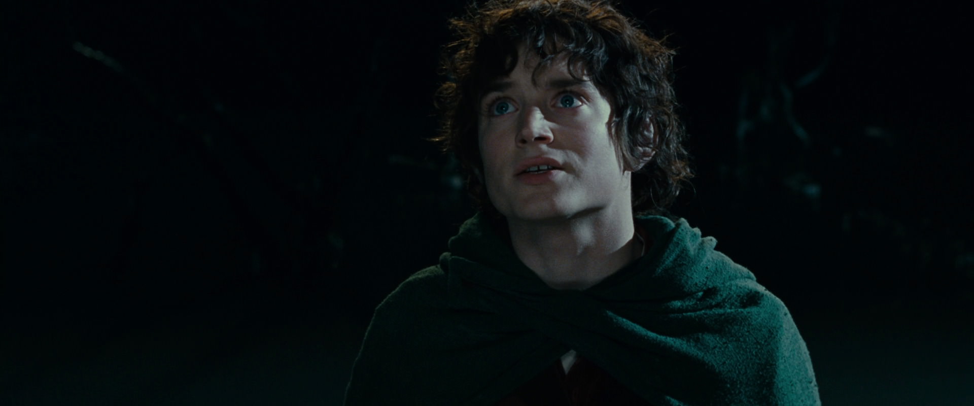 The Lord of the Rings: The Fellowship of the Ring (2001) HD screenshot 14339
