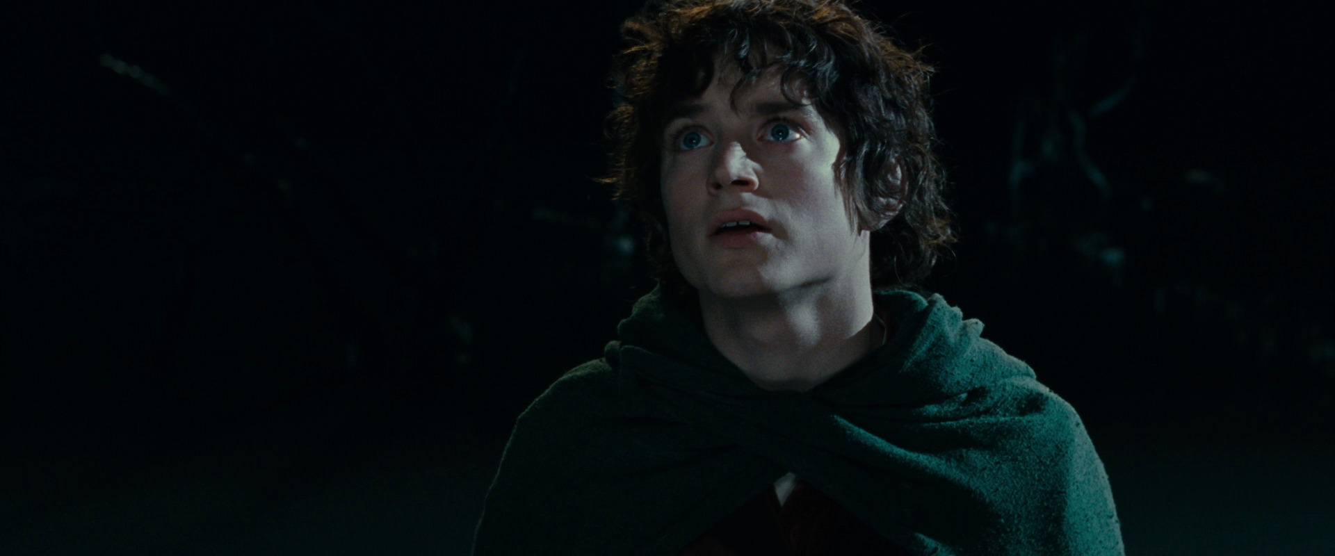 The Lord of the Rings: The Fellowship of the Ring (2001) screencap 14340