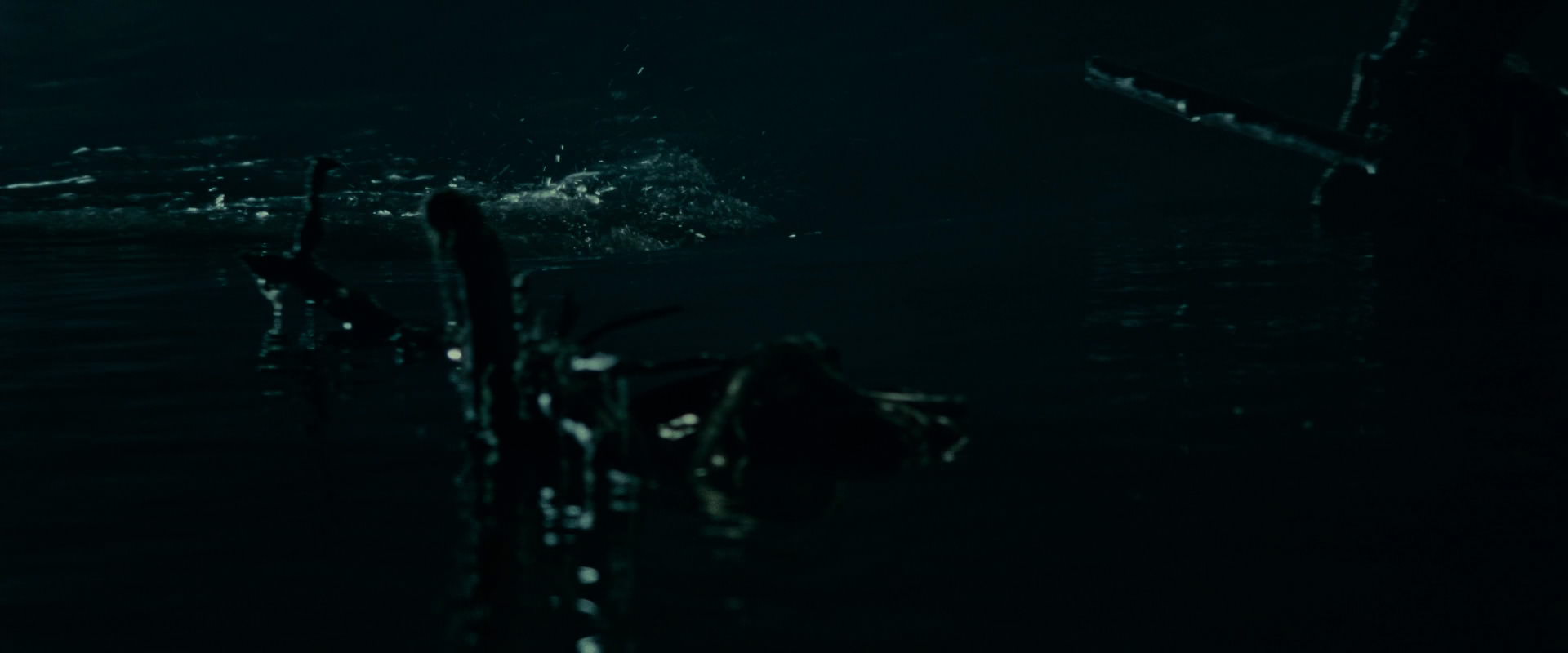 The Lord of the Rings: The Fellowship of the Ring (2001) HD screenshot 14345