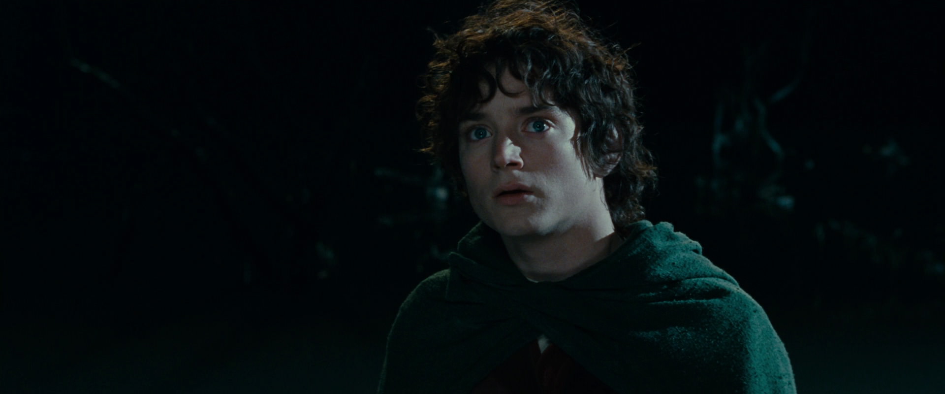 The Lord of the Rings: The Fellowship of the Ring (2001) movie still 14353
