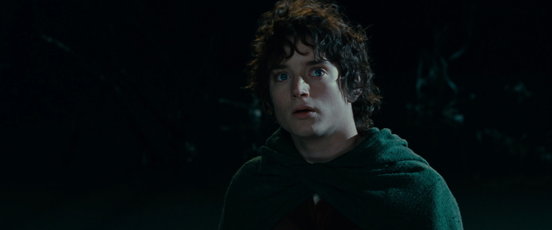 The Lord of the Rings: The Fellowship of the Ring (2001) HD screenshot 14354