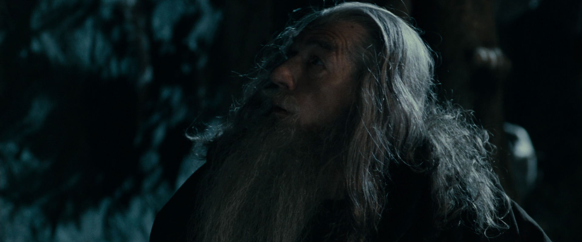 The Lord of the Rings: The Fellowship of the Ring (2001) screencap 14355