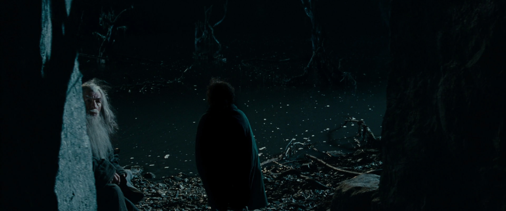 The Lord of the Rings: The Fellowship of the Ring (2001) screencap 14364
