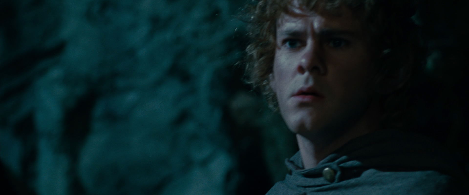 The Lord of the Rings: The Fellowship of the Ring (2001) screencap 14373