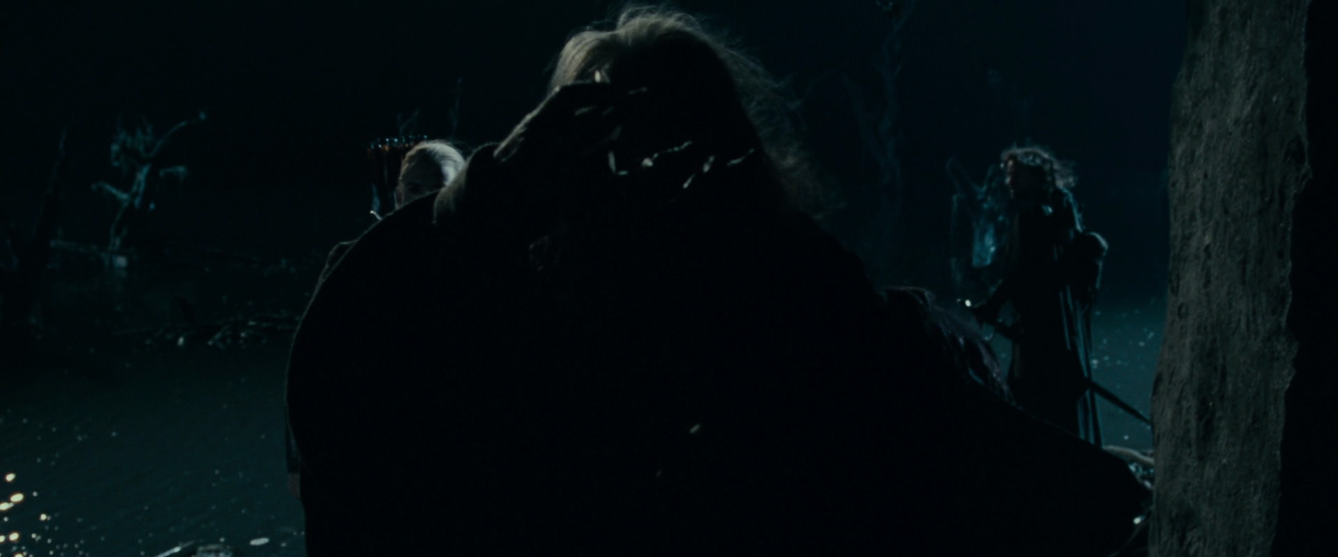 The Lord of the Rings: The Fellowship of the Ring (2001) screencap 14376