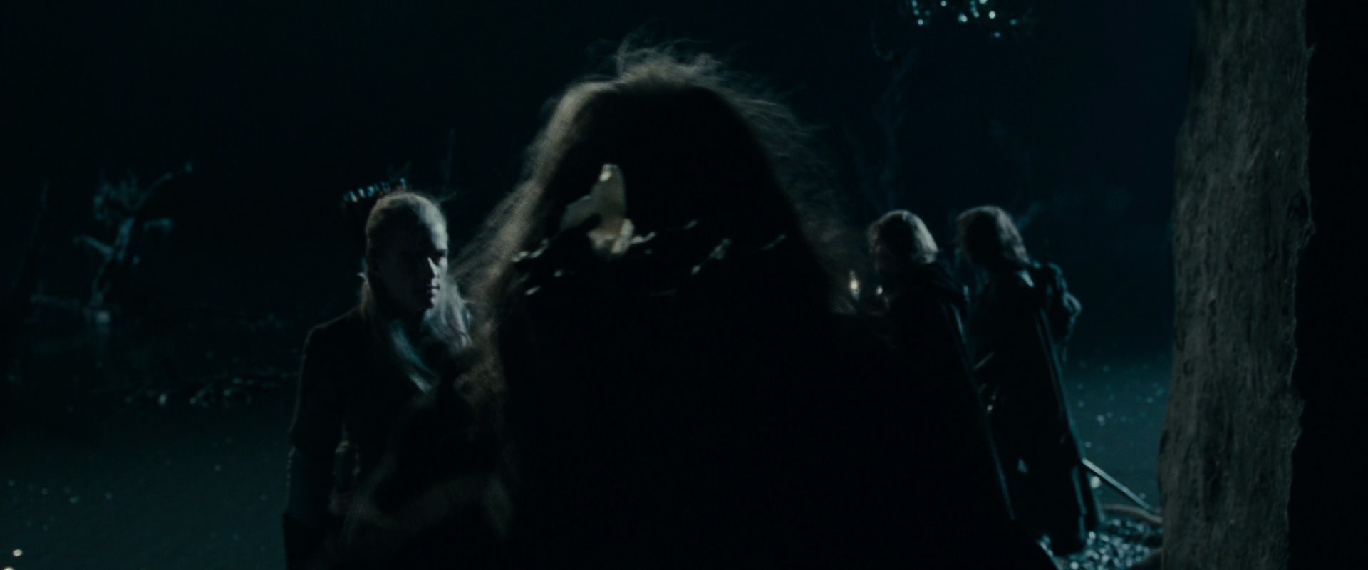The Lord of the Rings: The Fellowship of the Ring (2001) HD screenshot 14378