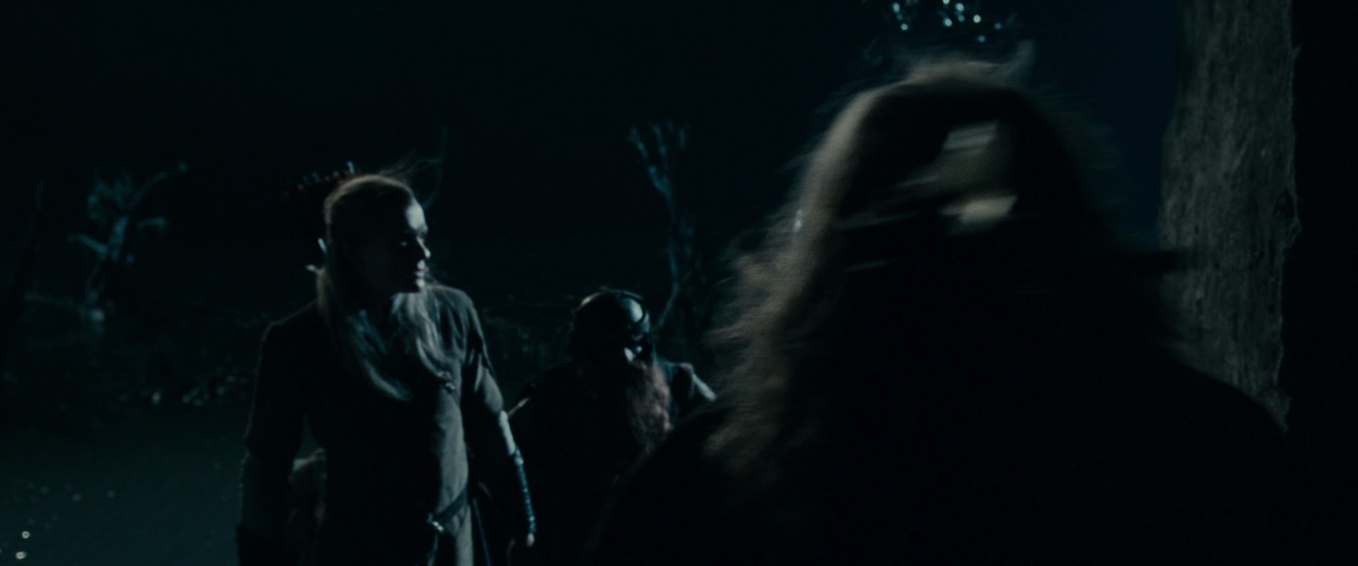 The Lord of the Rings: The Fellowship of the Ring (2001) screencap 14379