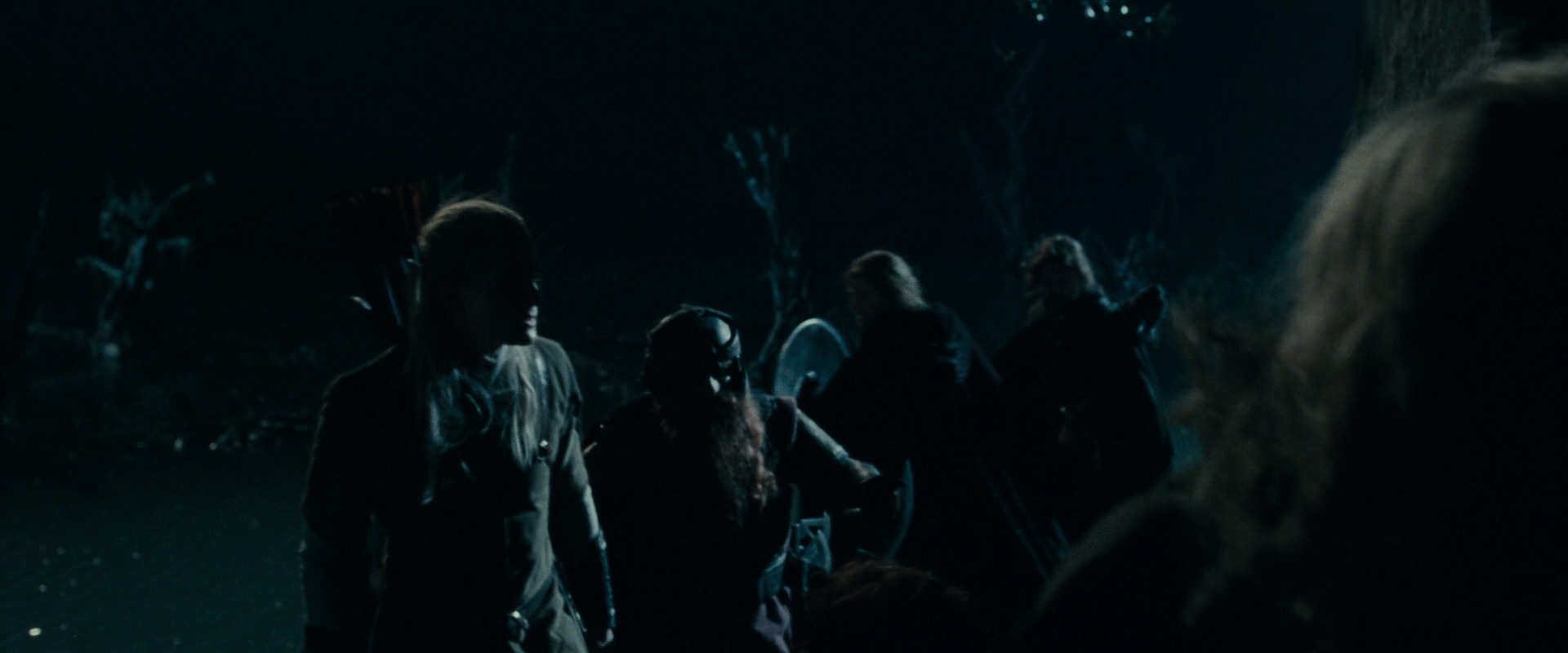 The Lord of the Rings: The Fellowship of the Ring (2001) movie still 14380