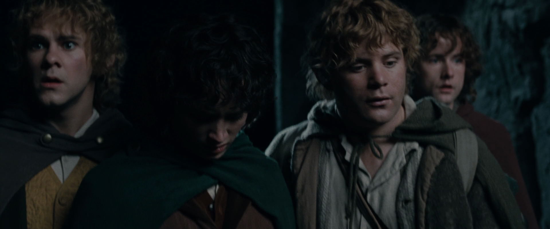 The Lord of the Rings: The Fellowship of the Ring (2001) screencap 14439
