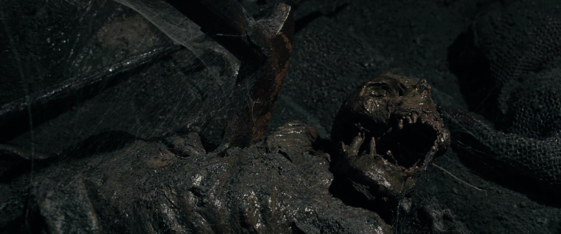 The Lord of the Rings: The Fellowship of the Ring (2001) screencap 14451