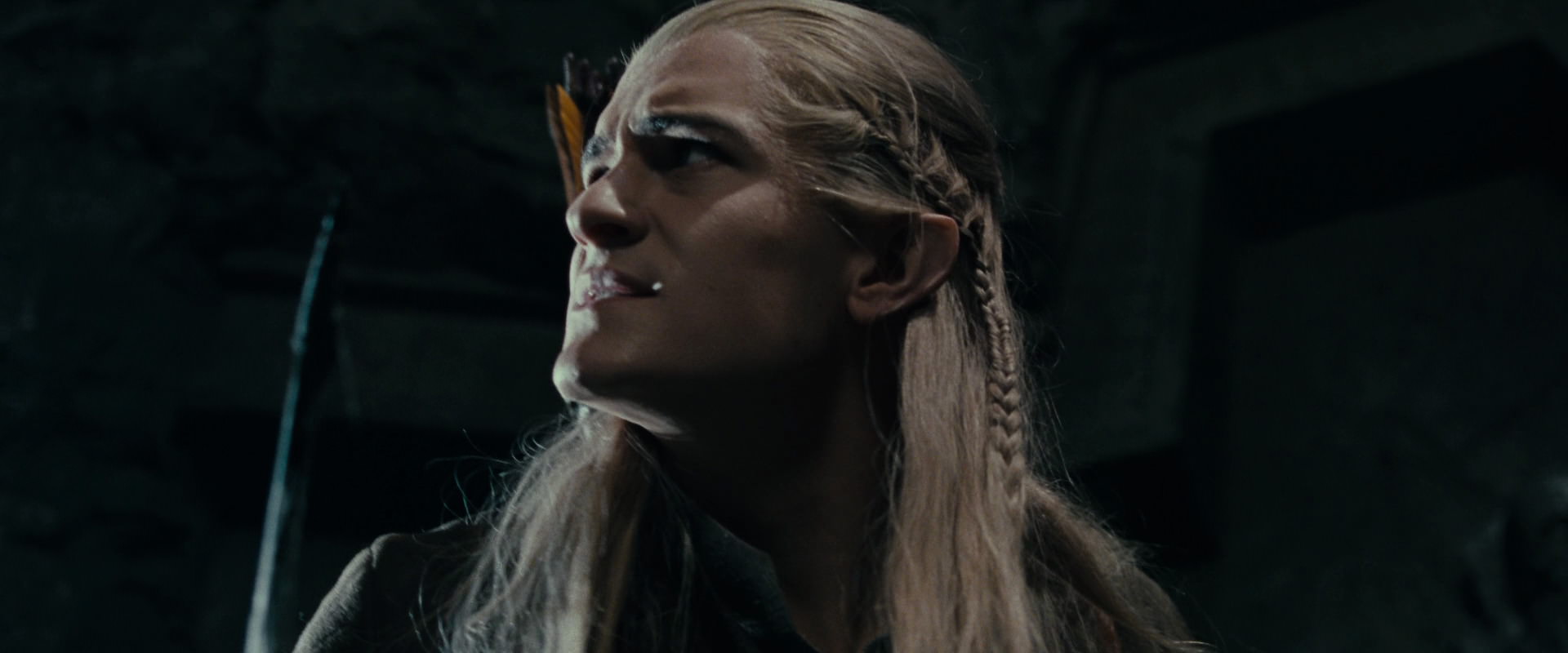 The Lord of the Rings: The Fellowship of the Ring (2001) screencap 14466