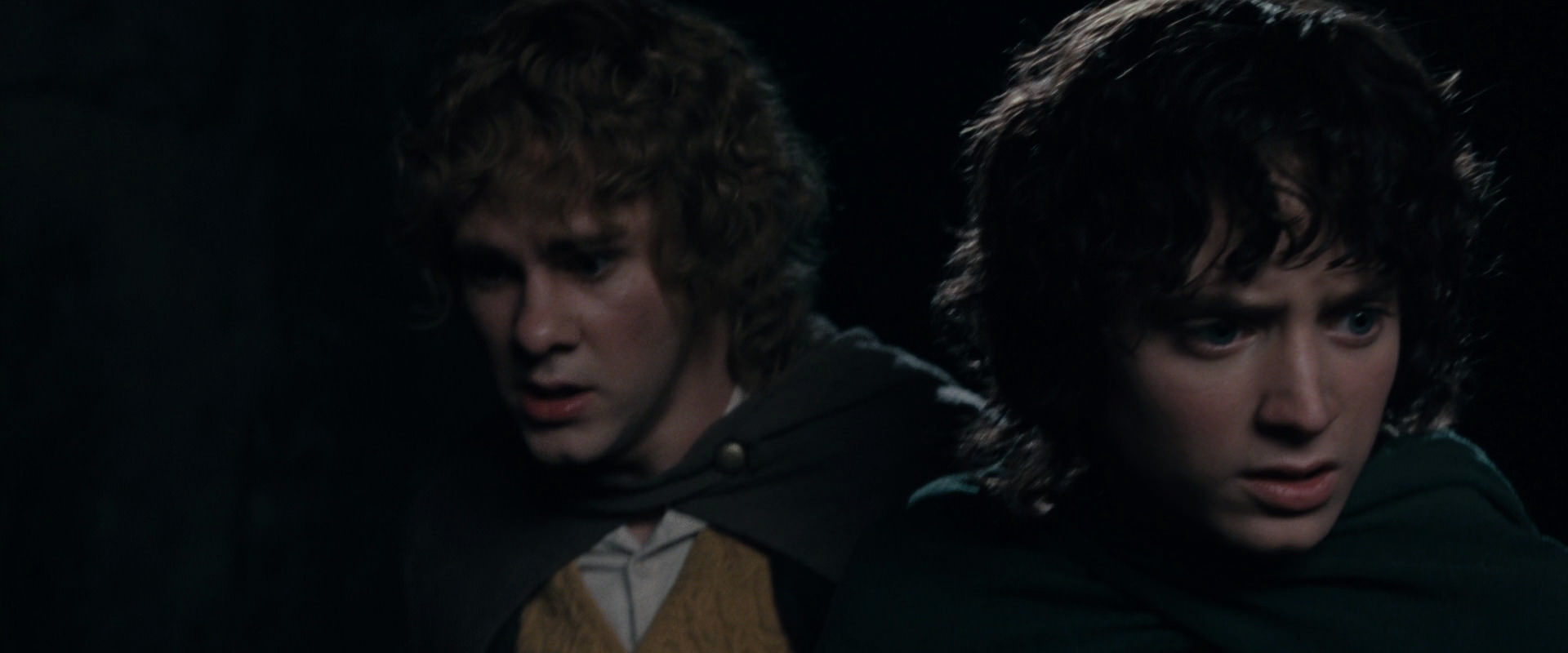 The Lord of the Rings: The Fellowship of the Ring (2001) HD screenshot 14480