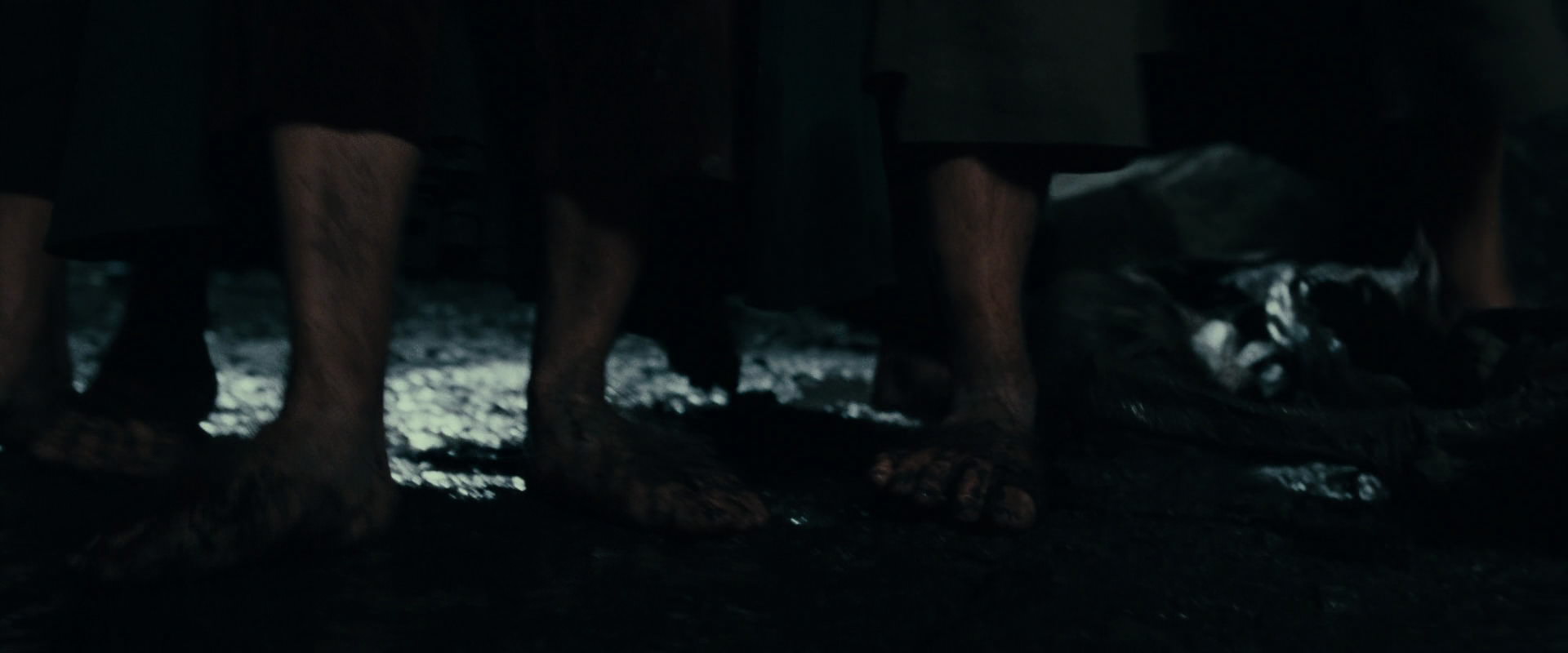 The Lord of the Rings: The Fellowship of the Ring (2001) screencap 14484