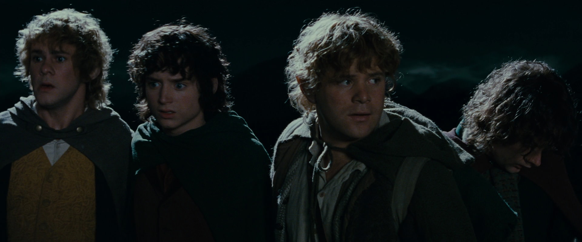 The Lord of the Rings: The Fellowship of the Ring (2001) HD screenshot 14492