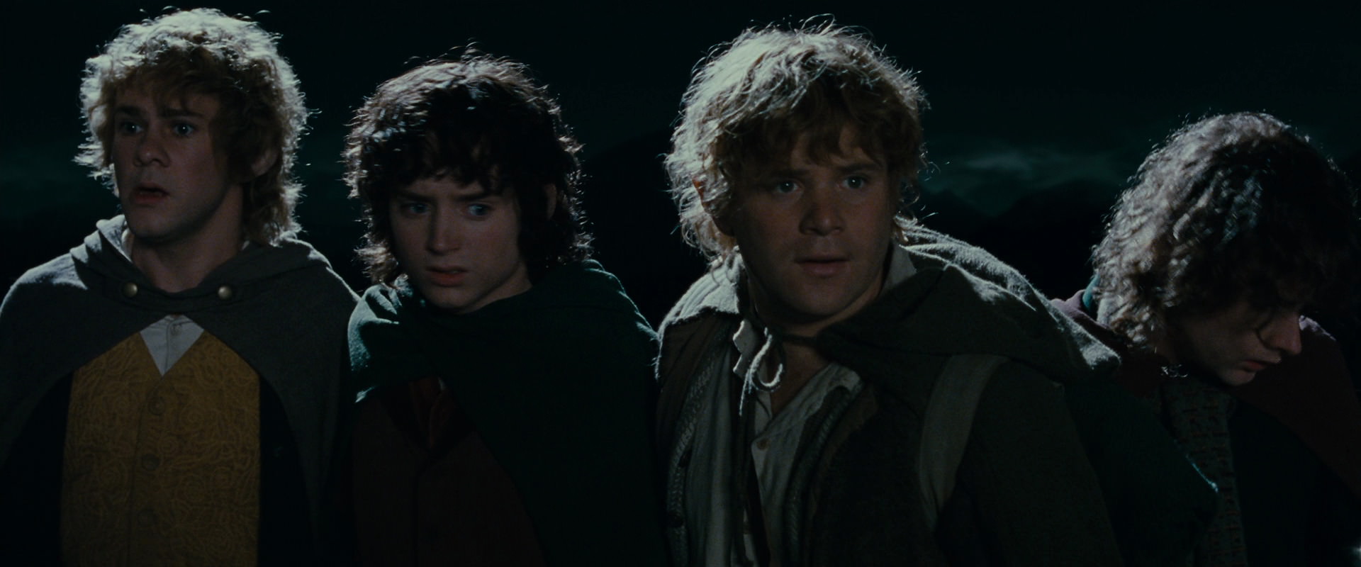 The Lord of the Rings: The Fellowship of the Ring (2001) screencap 14493