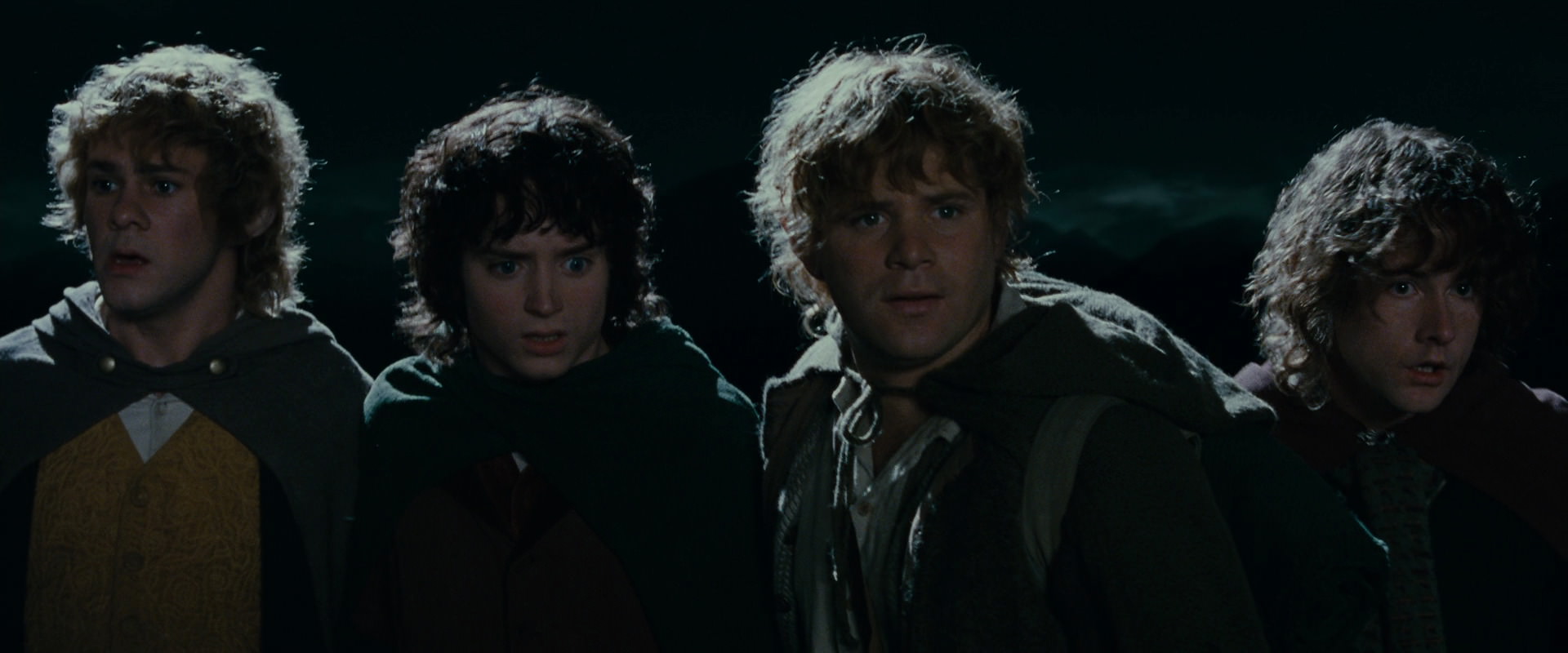 The Lord of the Rings: The Fellowship of the Ring (2001) movie still 14494