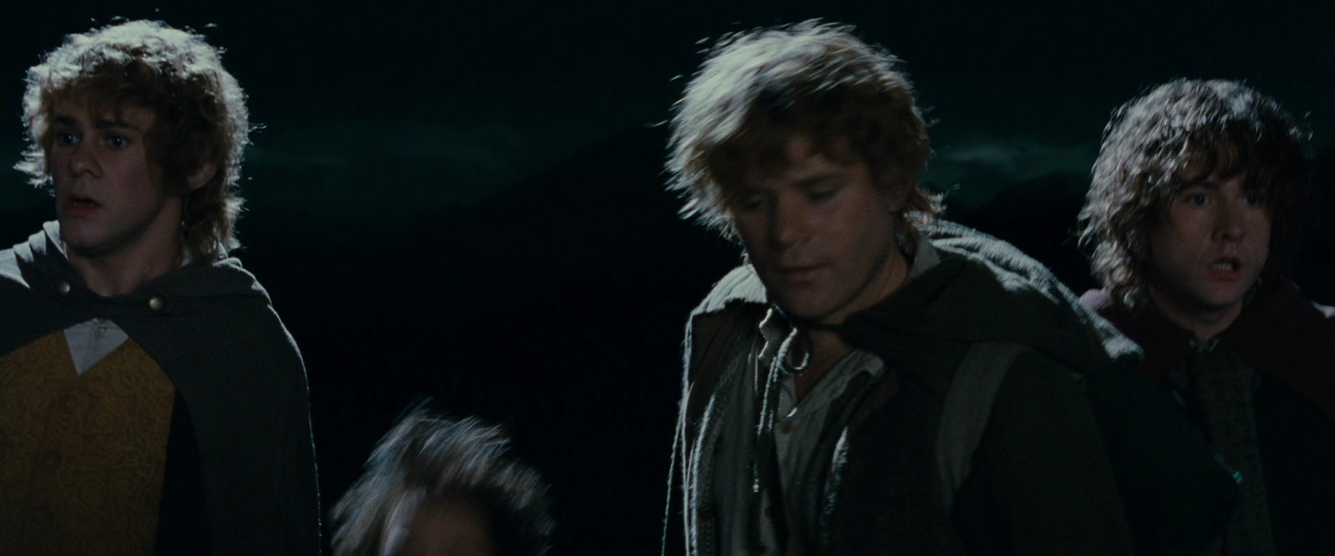 The Lord of the Rings: The Fellowship of the Ring (2001) HD screenshot 14495