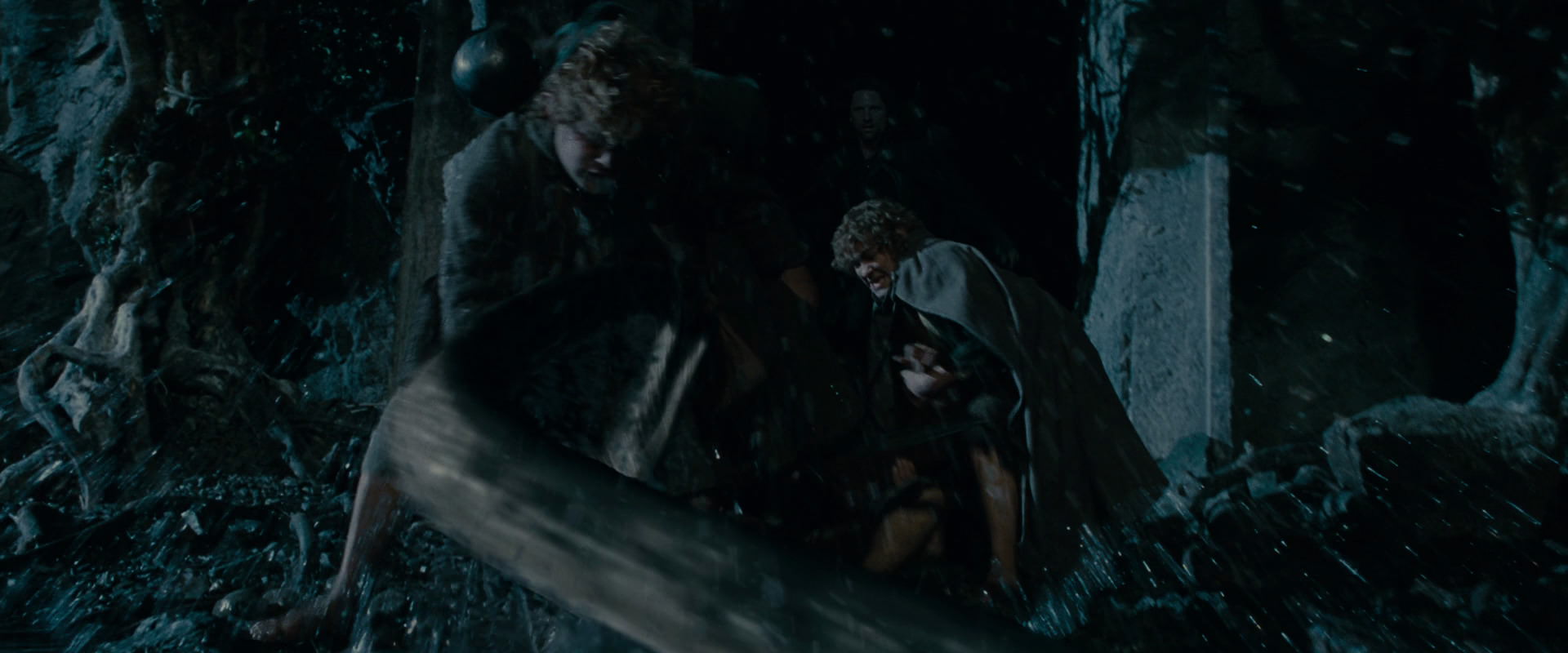 The Lord of the Rings: The Fellowship of the Ring (2001) screencap 14511
