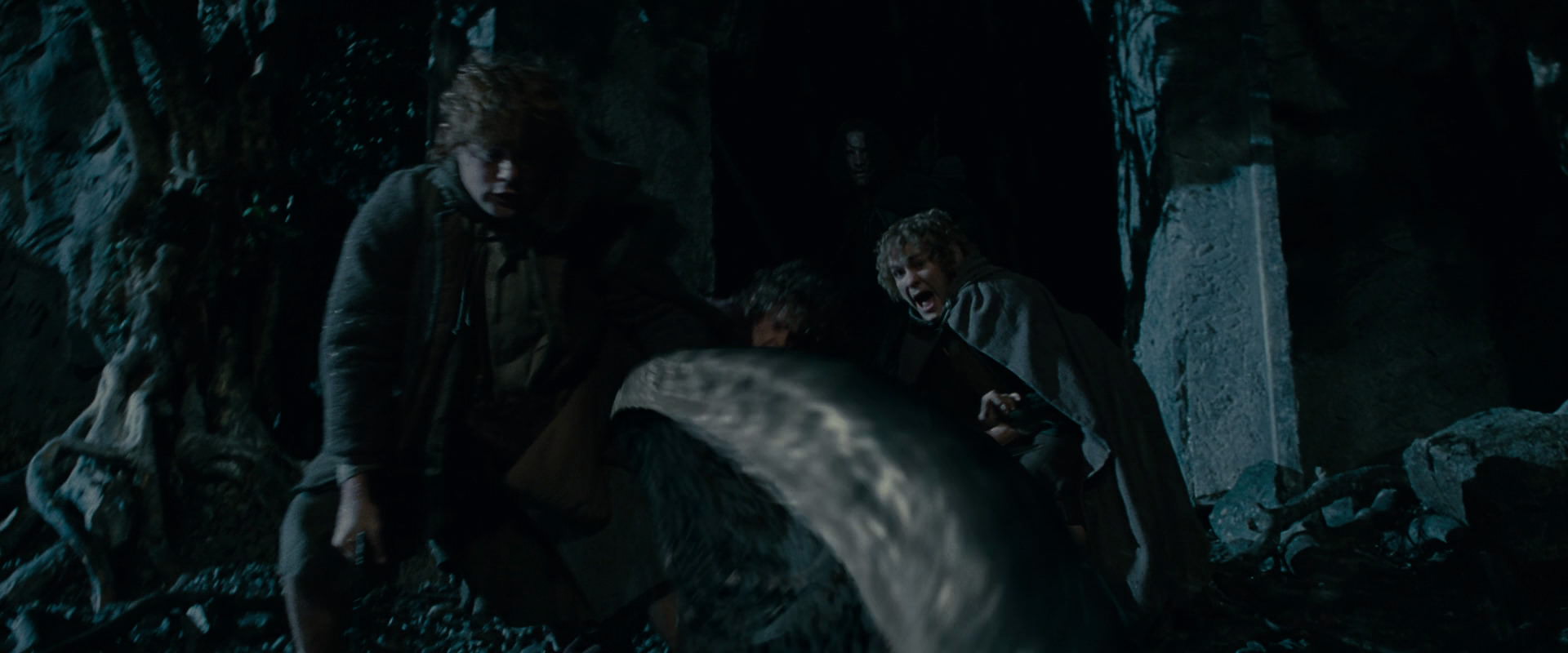 The Lord of the Rings: The Fellowship of the Ring (2001) movie still 14512
