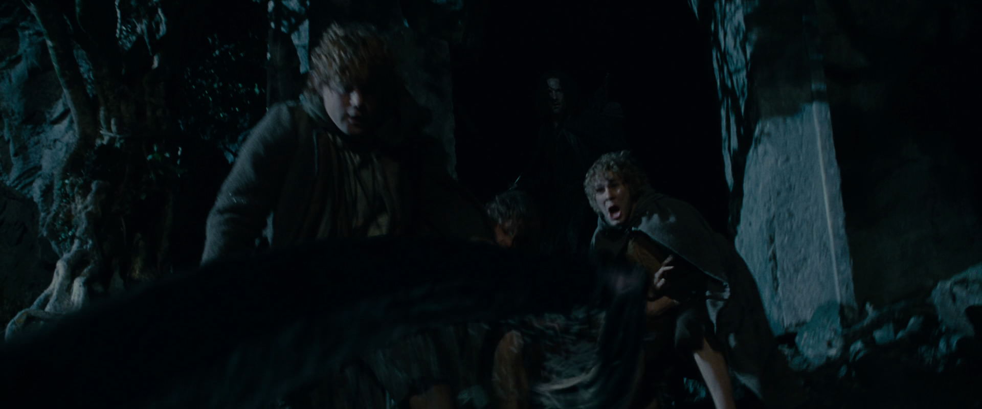 The Lord of the Rings: The Fellowship of the Ring (2001) HD screenshot 14513