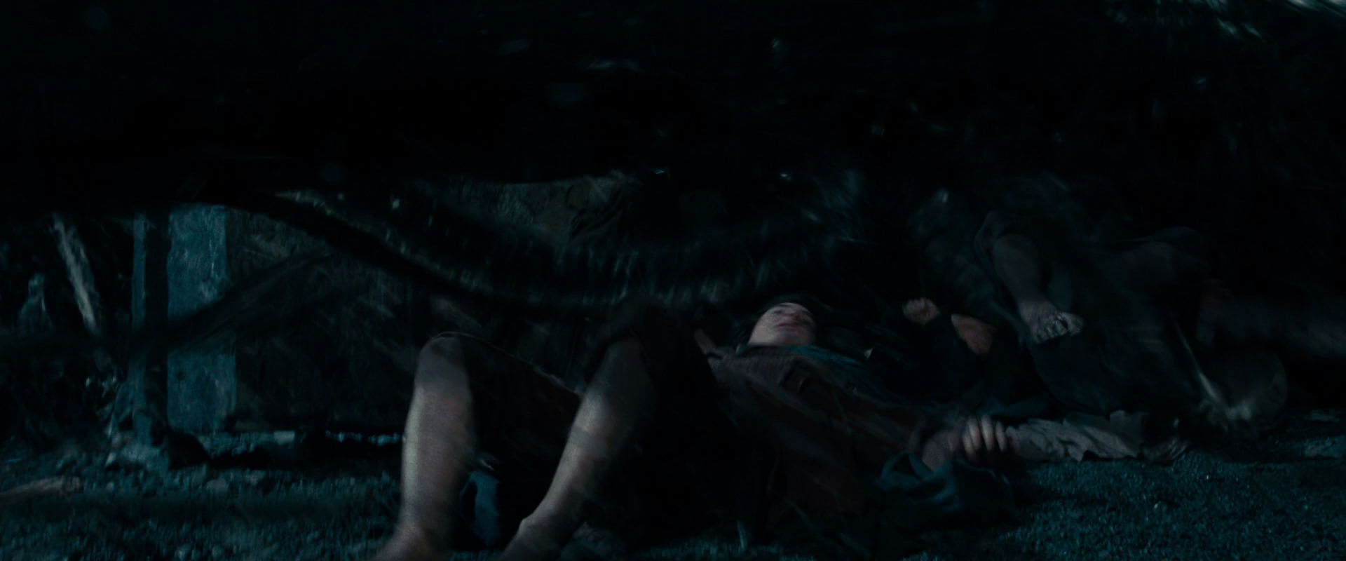 The Lord of the Rings: The Fellowship of the Ring (2001) movie still 14524