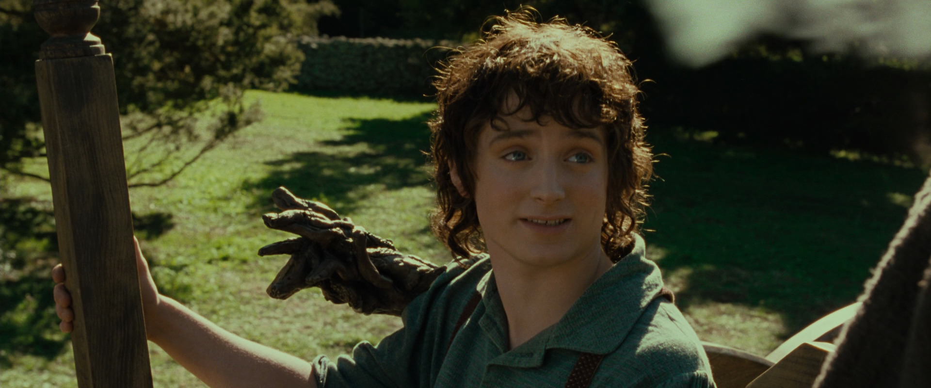 The Lord of the Rings: The Fellowship of the Ring (2001) screencap 1455