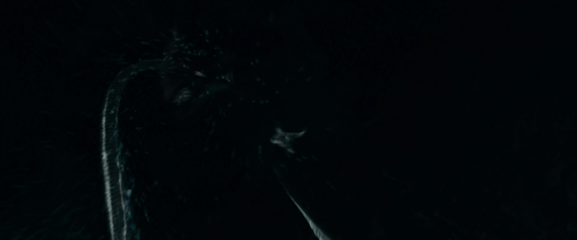 The Lord of the Rings: The Fellowship of the Ring (2001) screencap 14550