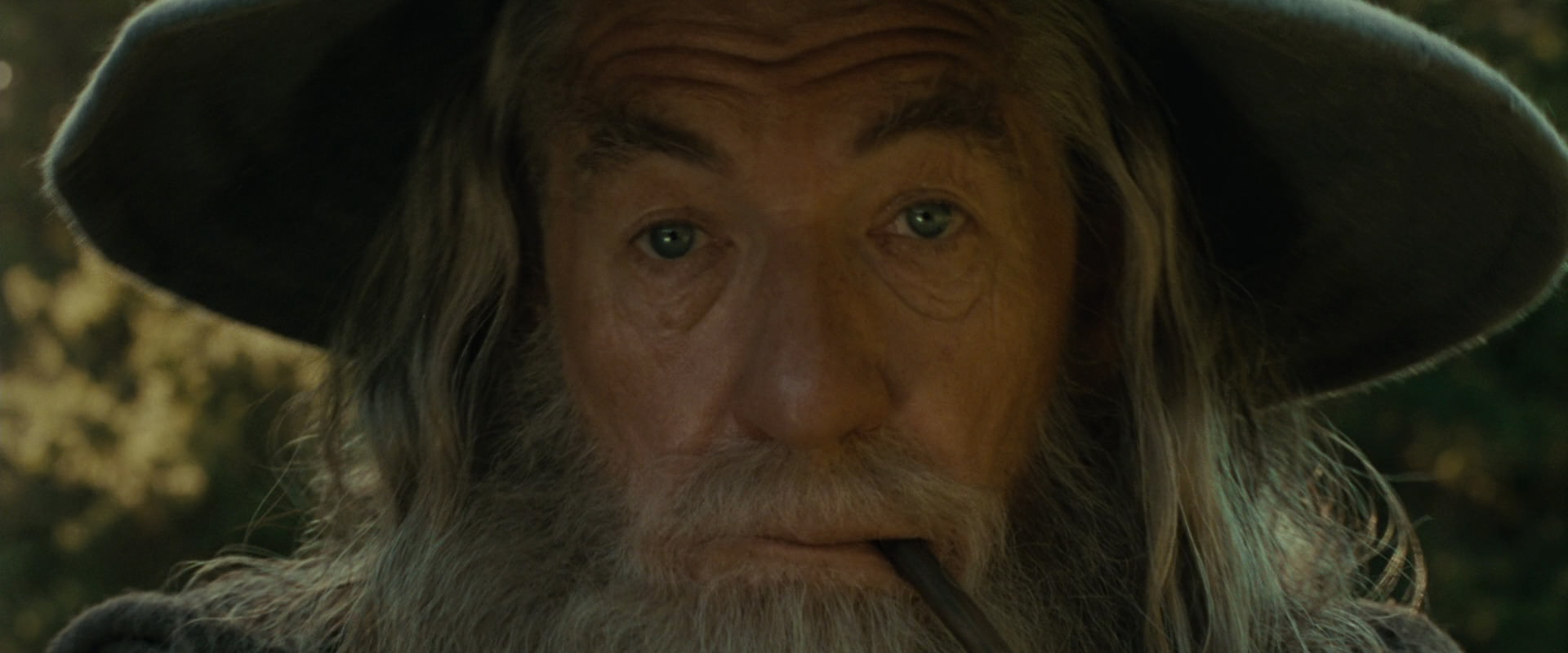 The Lord of the Rings: The Fellowship of the Ring (2001) screencap 1458