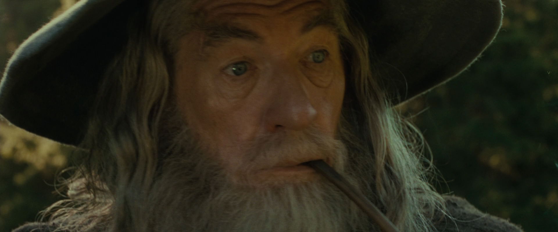 The Lord of the Rings: The Fellowship of the Ring (2001) HD screenshot 1460