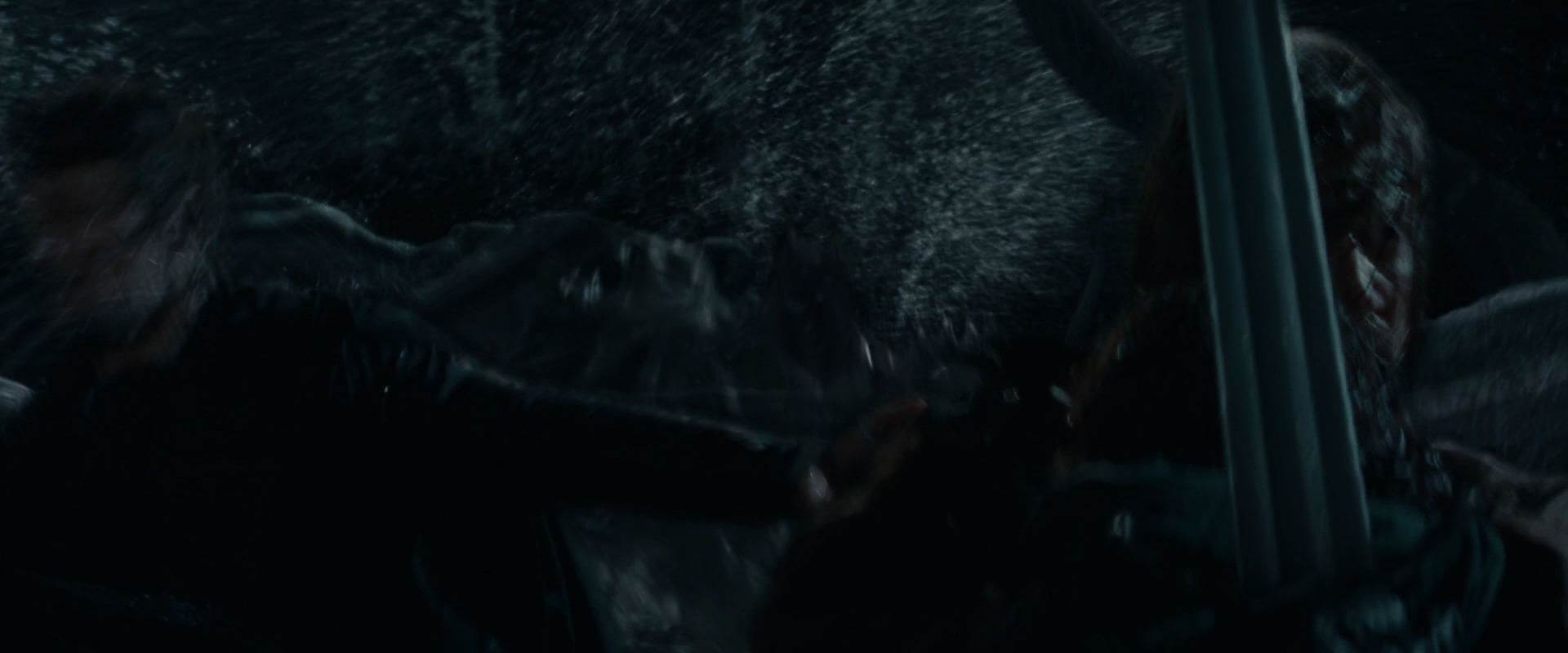 The Lord of the Rings: The Fellowship of the Ring (2001) screencap 14601