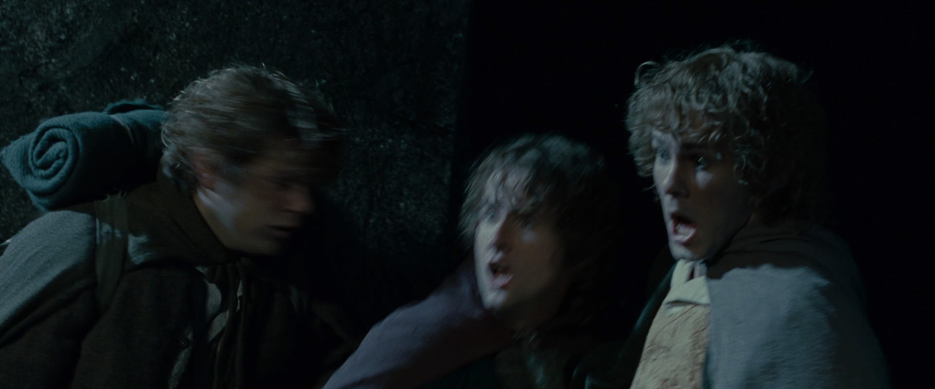 The Lord of the Rings: The Fellowship of the Ring (2001) screencap 14607