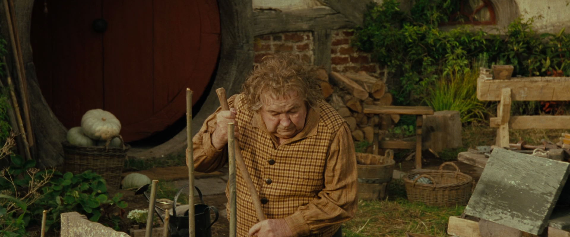 The Lord of the Rings: The Fellowship of the Ring (2001) screencap 1461